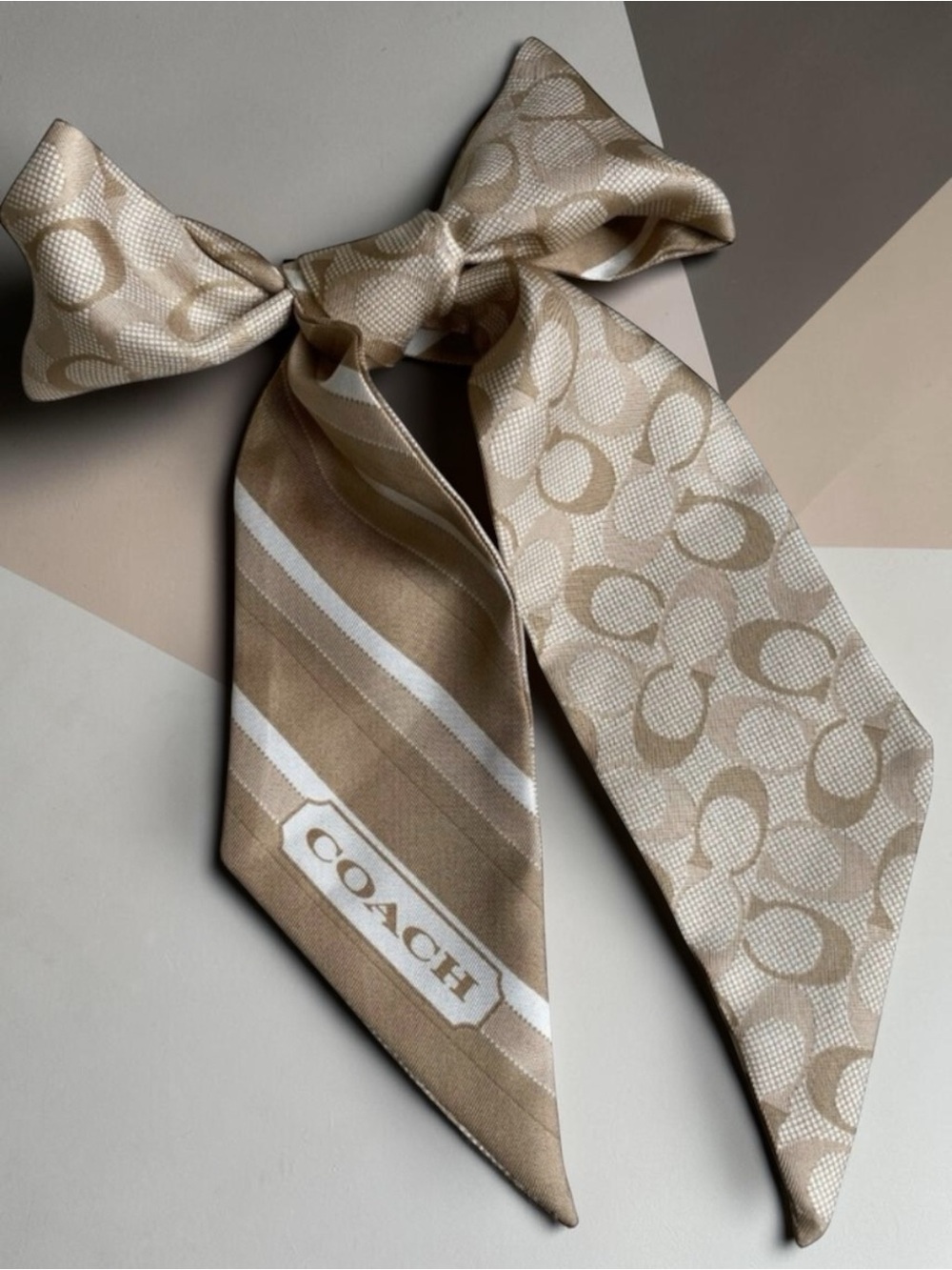 COACH Silk Skinny Scarf/Twilly